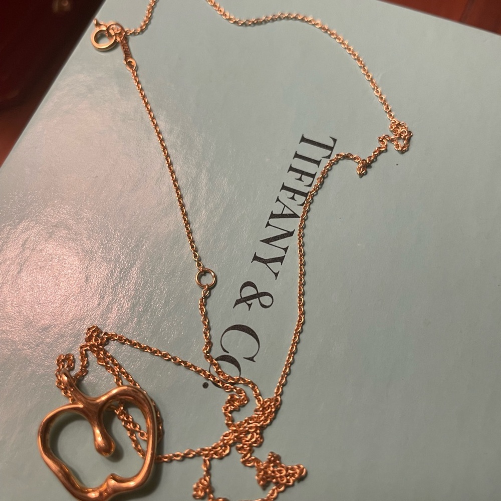 18k Tiffany &Co Apple necklace